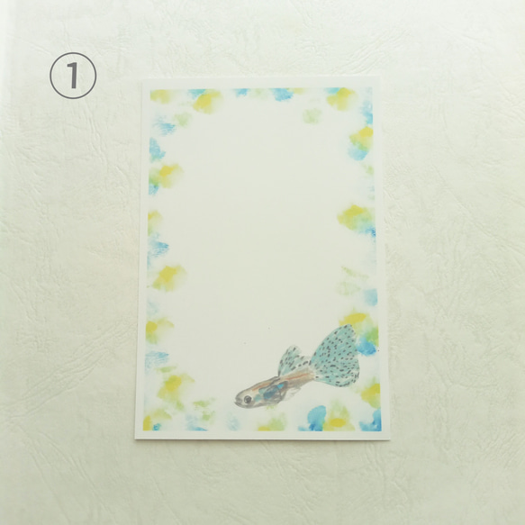 熱帯魚　ポストカード（合計５枚）　ギフト　誕生日　暑中見舞い　絵葉書　グッピー　ドワーフペンシルフィッシュ　水彩画 2枚目の画像