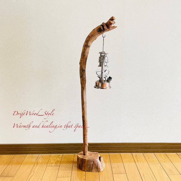 流木インテリア 緩やかな曲線を描く流木スタンド ランタンやエアプラントを飾れる置物 北欧 照明 木材 癒し N31 3枚目の画像