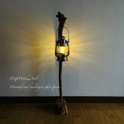 流木インテリア 緩やかな曲線を描く流木スタンド ランタンやエアプラントを飾れる置物 北欧 照明 木材 癒し N31 5枚目の画像