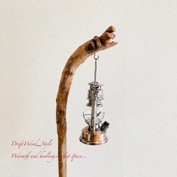 流木インテリア 緩やかな曲線を描く流木スタンド ランタンやエアプラントを飾れる置物 北欧 照明 木材 癒し N31 10枚目の画像