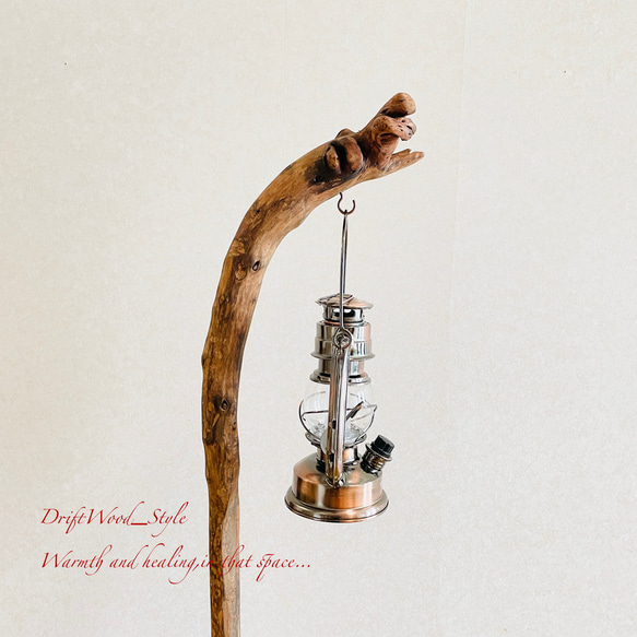 流木インテリア 緩やかな曲線を描く流木スタンド ランタンやエアプラントを飾れる置物 北欧 照明 木材 癒し N31 10枚目の画像