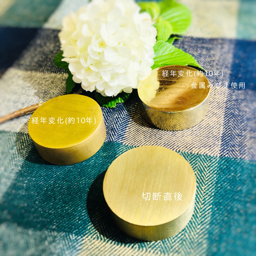 文鎮6個 ケース付 鉄道カットレールメッキ文鎮 6個セット 鉄道カットレール