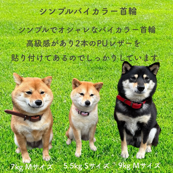 Sサイズ シンプル バイカラー首輪 ベルト ベルト式 サイズ調整 首輪 PU 犬用 猫用 犬 猫 2枚目の画像