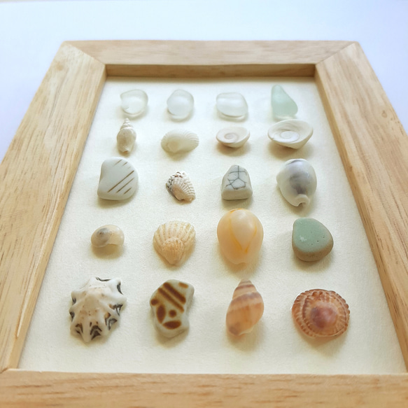 〈海辺のホワイトコレクション〉貝殻・シーグラスアート 5枚目の画像
