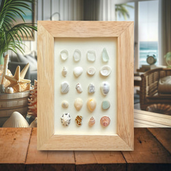 〈海辺のホワイトコレクション〉貝殻・シーグラスアート 1枚目の画像