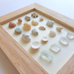 〈海辺のホワイトコレクション〉貝殻・シーグラスアート 6枚目の画像