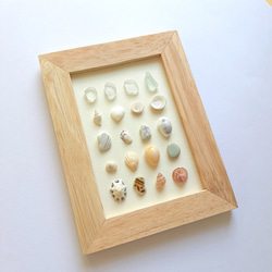 〈海辺のホワイトコレクション〉貝殻・シーグラスアート 4枚目の画像