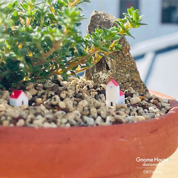 観葉植物をジオラマにしてみませんか？　ミニチュアハウス　ガーデンピック　Gnome House. 10枚目の画像