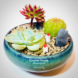 観葉植物をジオラマにしてみませんか？　ミニチュアハウス　ガーデンピック　Gnome House. 1枚目の画像