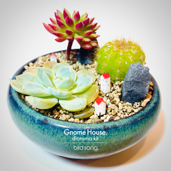 観葉植物をジオラマにしてみませんか？　ミニチュアハウス　ガーデンピック　Gnome House. 1枚目の画像