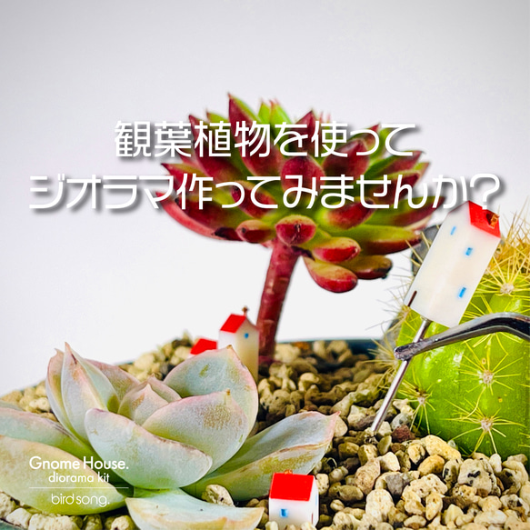 観葉植物をジオラマにしてみませんか？　ミニチュアハウス　ガーデンピック　Gnome House. 2枚目の画像