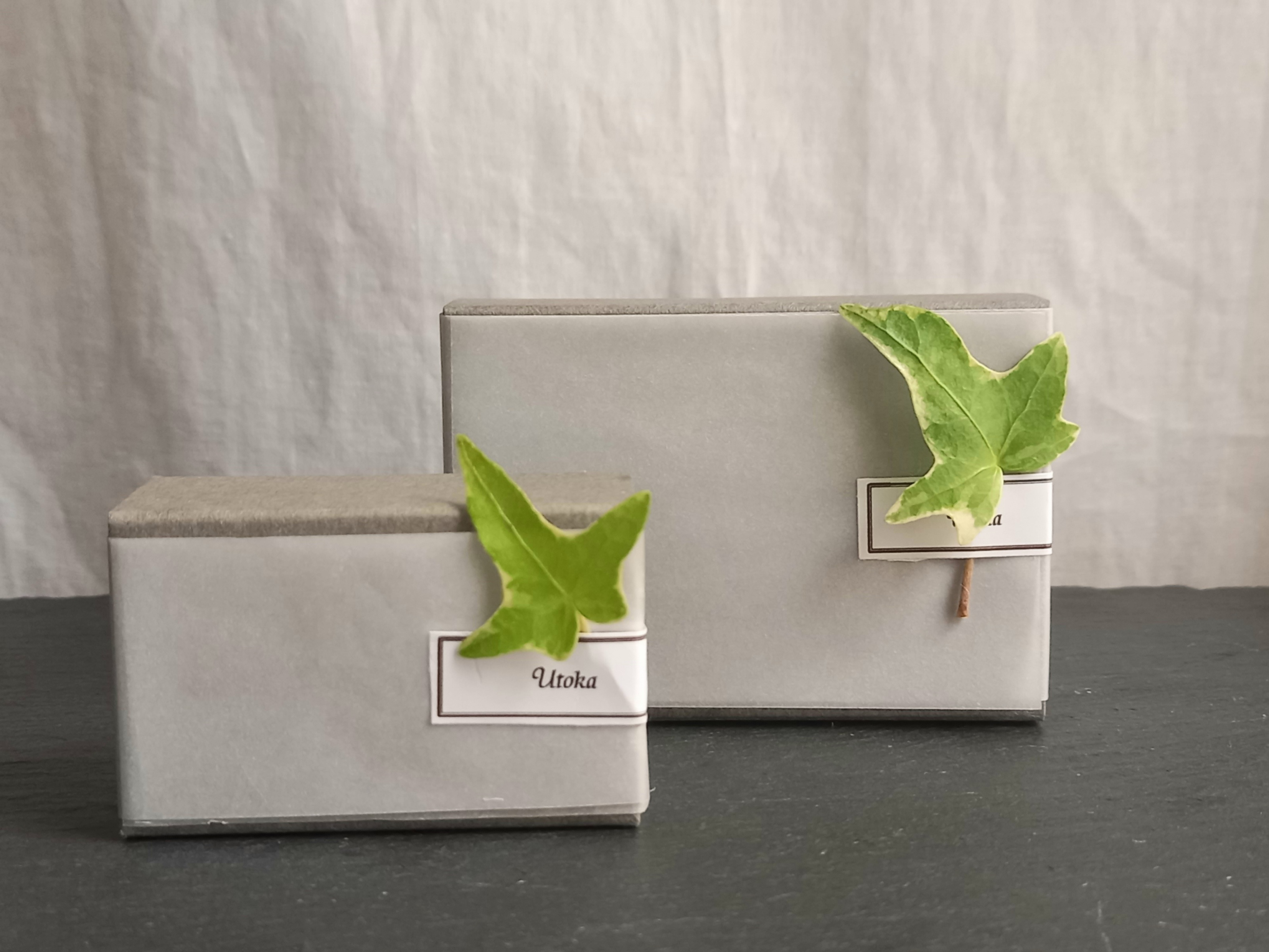 Utoka ☆ silver × brass  蔓 イヤーカフ b