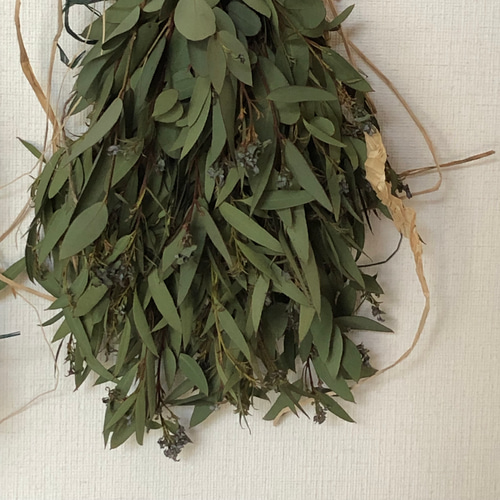 2.ユーカリスワッグ 特価】ユーカリ スワッグ 2種類 2点セット ＊ ドライフラワー