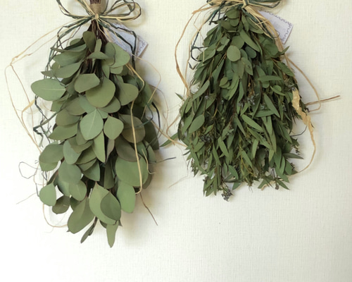 2.ユーカリスワッグ 0_12e3fb43ee78d2bd94c9202b2d30