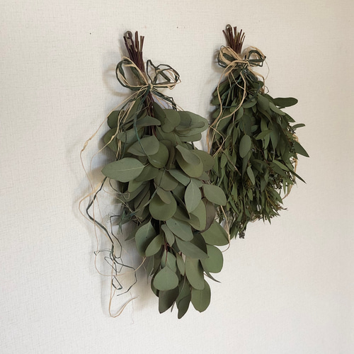 2.ユーカリスワッグ ユーカリスワッグ ドライフラワー b-interior 通販 17956882