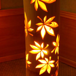 1f9a76b31a770fa2ad668672276cd5