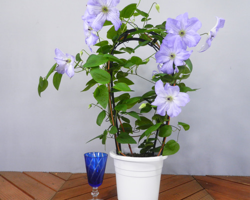 5f0802c03d33e98a011d3224068aca