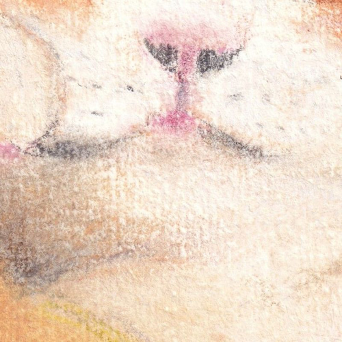 猫の絵 162 水彩画 原画 A4