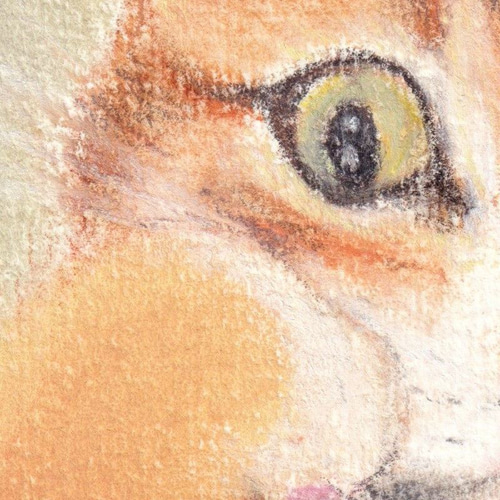 sketch01_ska1005004000895202-13