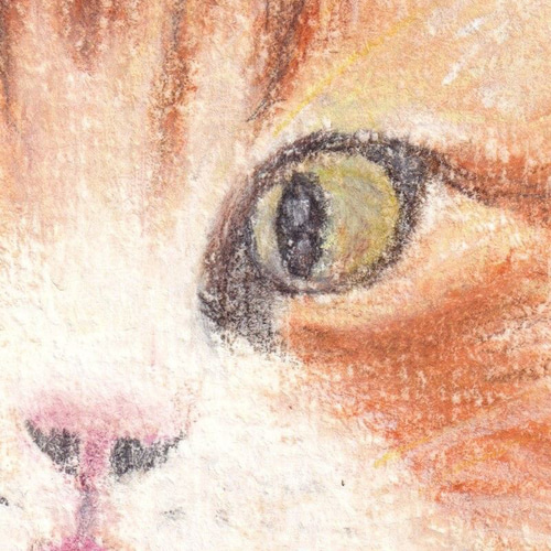 考え中（パステル画 原画）額装込み 絵画 にゃんずら 通販