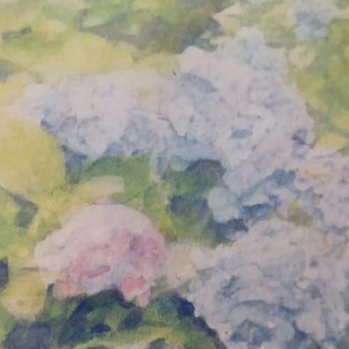 透明水彩原画紫陽花 透明水彩画 紫陽花（あじさい）F10サイズ 額縁付 原画 新築