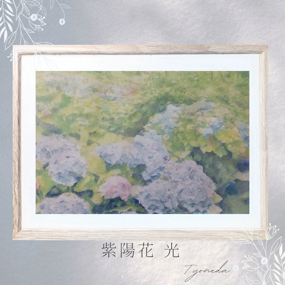 透明水彩原画紫陽花 透明水彩原画紫陽花