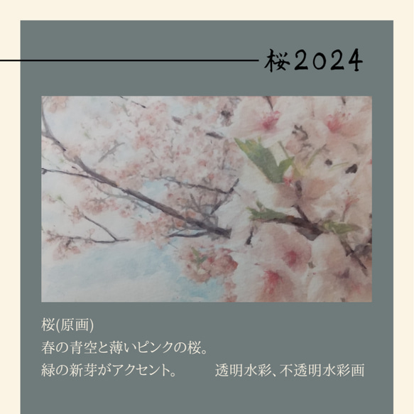桜2024(原画) 1枚目の画像