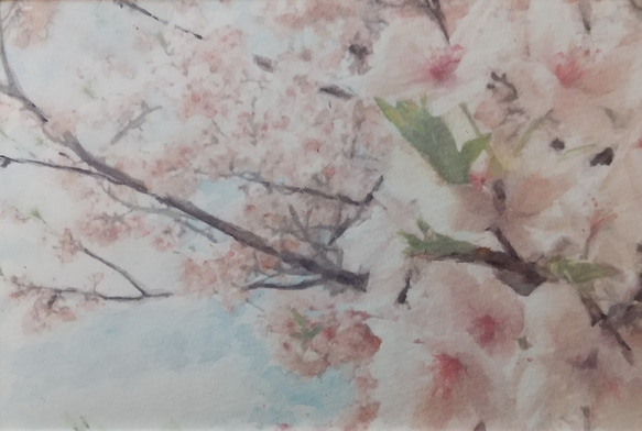 桜2024(原画) 2枚目の画像