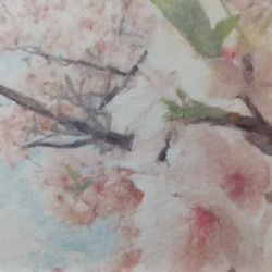 桜2024(原画) 4枚目の画像