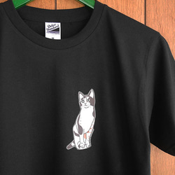 new猫半袖Tシャツ黒/目力 1枚目の画像
