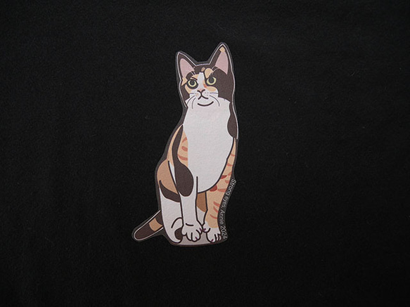 new猫半袖Tシャツ黒/目力 2枚目の画像
