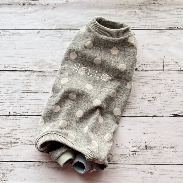 オーダー】紅いちご×デニムフリルスカートのセットイントレーナー犬服