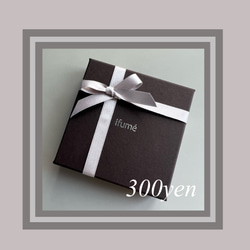 【ifumé】大きめオーバルの細革紐ロングネックレス 金属アレルギー対応 サージカルステンレス 17枚目の画像