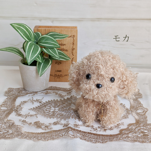 ぴ*ち様 トイプードル(グレー)あみぐるみマルチケース 【楽天市場