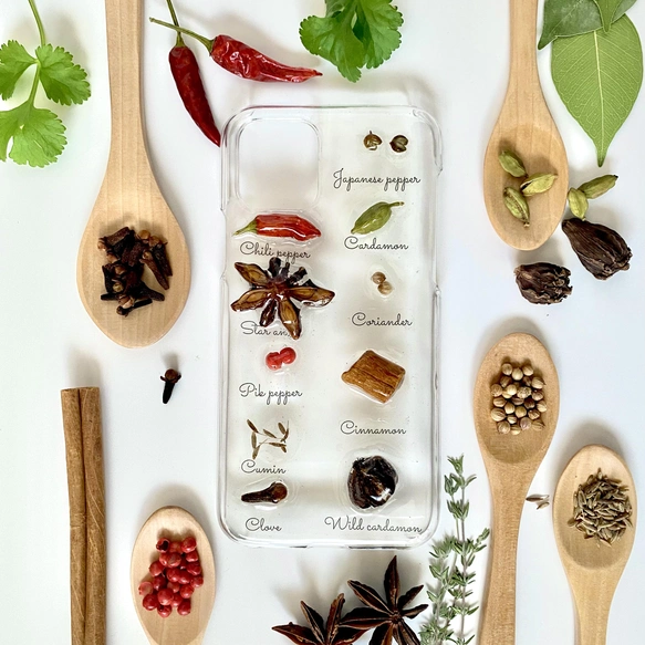 35a.スパイス標本