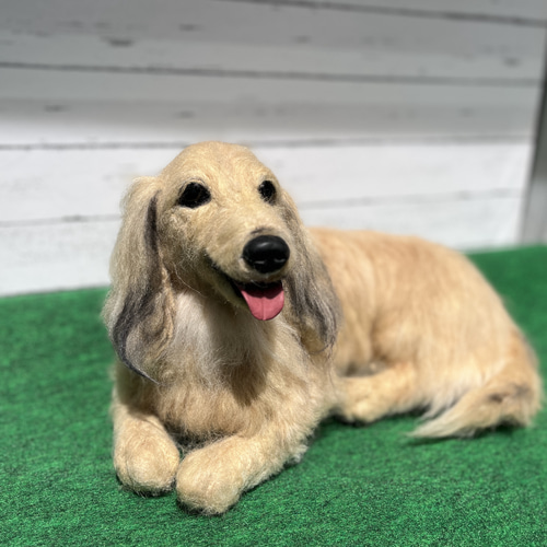 オーダー ダックスフンド 実物大♡世界でたった一つ ♡羊毛フェルト 犬