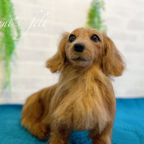 DOUGLAS社 犬ぬいぐるみ スパニエル （人気急上昇】 楽天市場