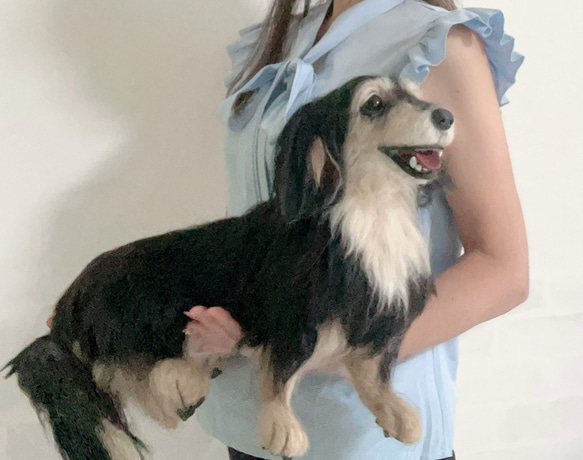 オーダー ダックスフンド 実物大♡世界でたった一つ ♡羊毛フェルト 犬