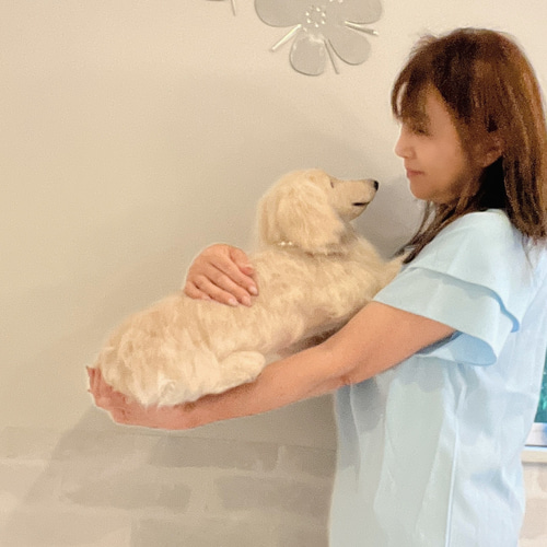 オーダー ダックスフンド 実物大♡世界でたった一つ ♡羊毛フェルト 犬