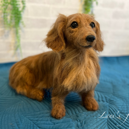 ドイツ製 アンティーク 犬 ぬいぐるみ ダックスフント ？ ビーグル 小