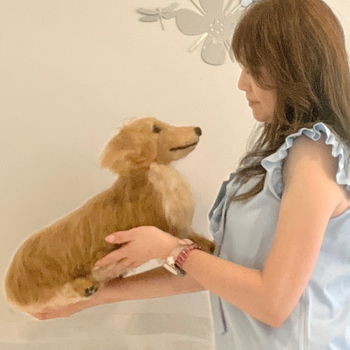 オーダー ダックスフンド 実物大♡世界でたった一つ ♡羊毛フェルト 犬