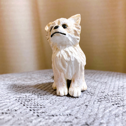 m様専用ページ　セミオーダー　チワワ　ロングコート　ミニチュア　犬　フィギュア　オブジェ 5枚目の画像