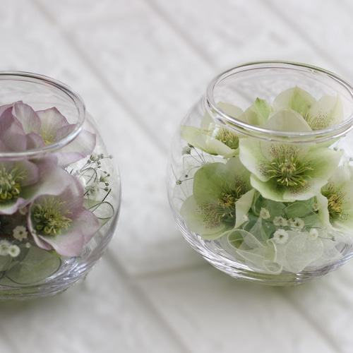 ❤『永遠の癒しを届けるクリスマスローズ・ホワイト』□ドライフラワー