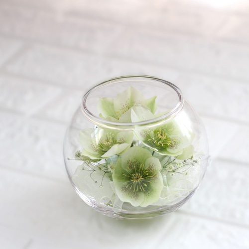 ❤『永遠の癒しを届けるクリスマスローズ・ホワイト』□ドライフラワー