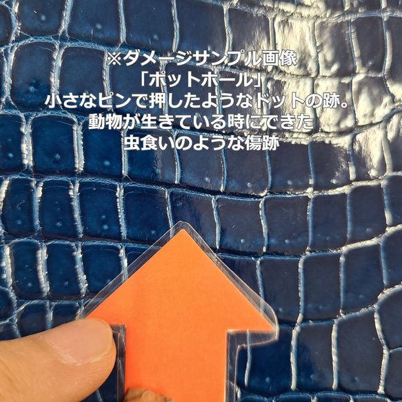 ワニ革　クロコ　グレージング(艶)　ピーコックブルー「バッグ製作・30/34」No.CM0059(5981-5987) 9枚目の画像