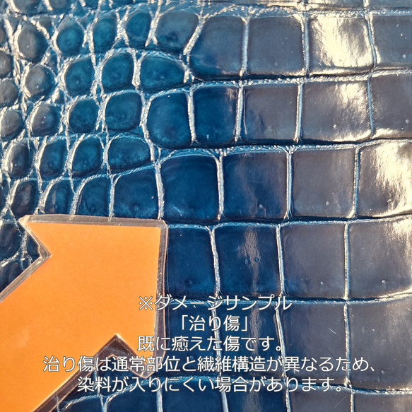 ワニ革　クロコ　グレージング(艶)　ピーコックブルー「バッグ製作・30/34」No.CM0059(5981-5987) 7枚目の画像