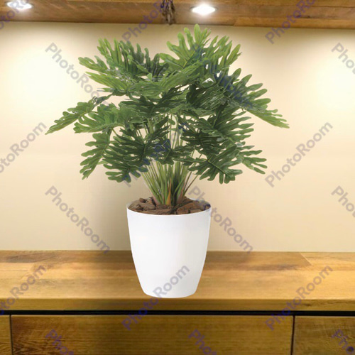 光触媒　人工観葉植物　ウォールグリーン　フェイクグリーン　クッカバラ H50cm 光触媒 人工観葉植物 ウォールグリーン フェイクグリーン フレッシュ