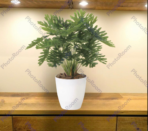光触媒　人工観葉植物　ウォールグリーン　フェイクグリーン　フレッシュクッカバラm 4枚目の画像