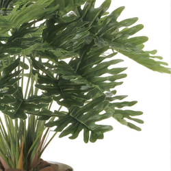 光触媒　人工観葉植物　ウォールグリーン　フェイクグリーン　フレッシュクッカバラm 5枚目の画像