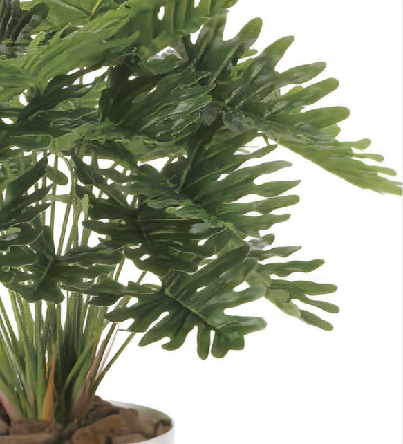 光触媒　人工観葉植物　ウォールグリーン　フェイクグリーン　フレッシュクッカバラm 5枚目の画像